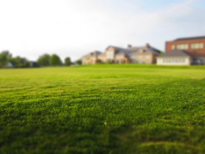 estate-grass-meadow